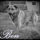 My Ben