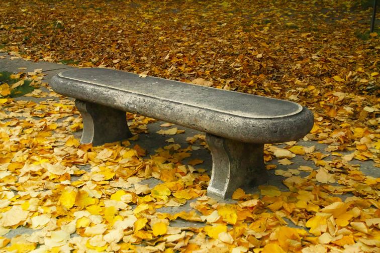My bench of memories