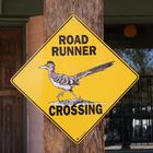 "My best friend sign - the roadrunner"