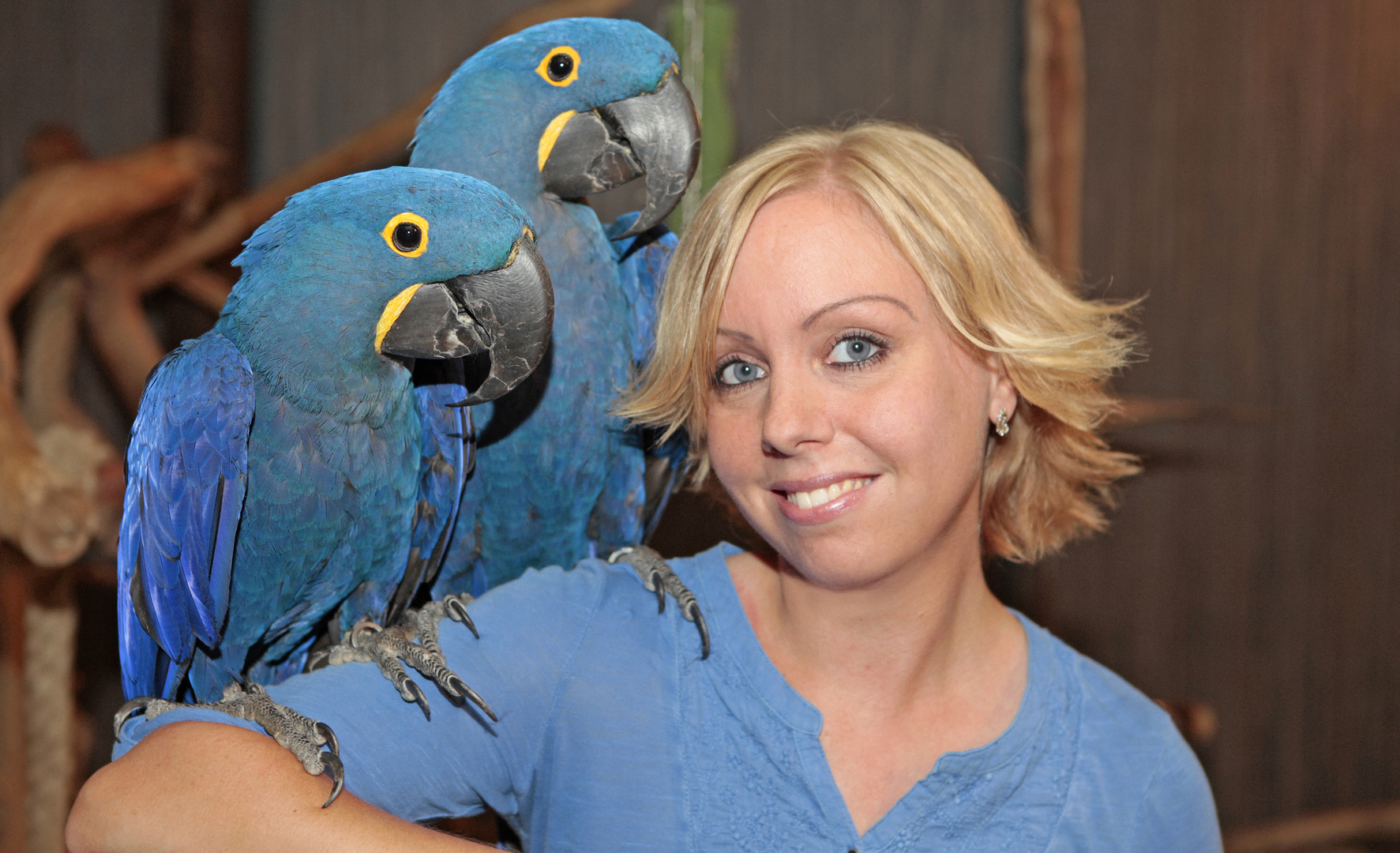 * My Best Friends * Foto & Bild tiere, haustiere, vögel Bilder auf