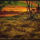 My Bike,... Alone...