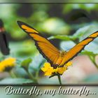 My butterfly...