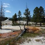 My Colors of Yellowstone...