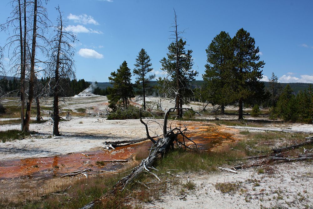 My Colors of Yellowstone...
