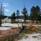 My Colors of Yellowstone...