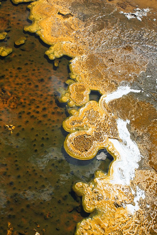 My Colors of Yellowstone - Nachschlag