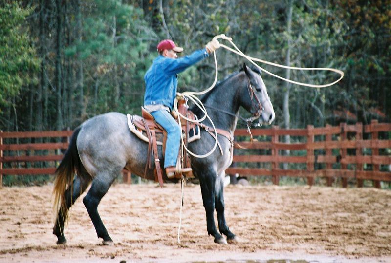 my cowboy...