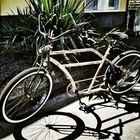 . . . my Custom Cruiser, gesnapseeded . . .