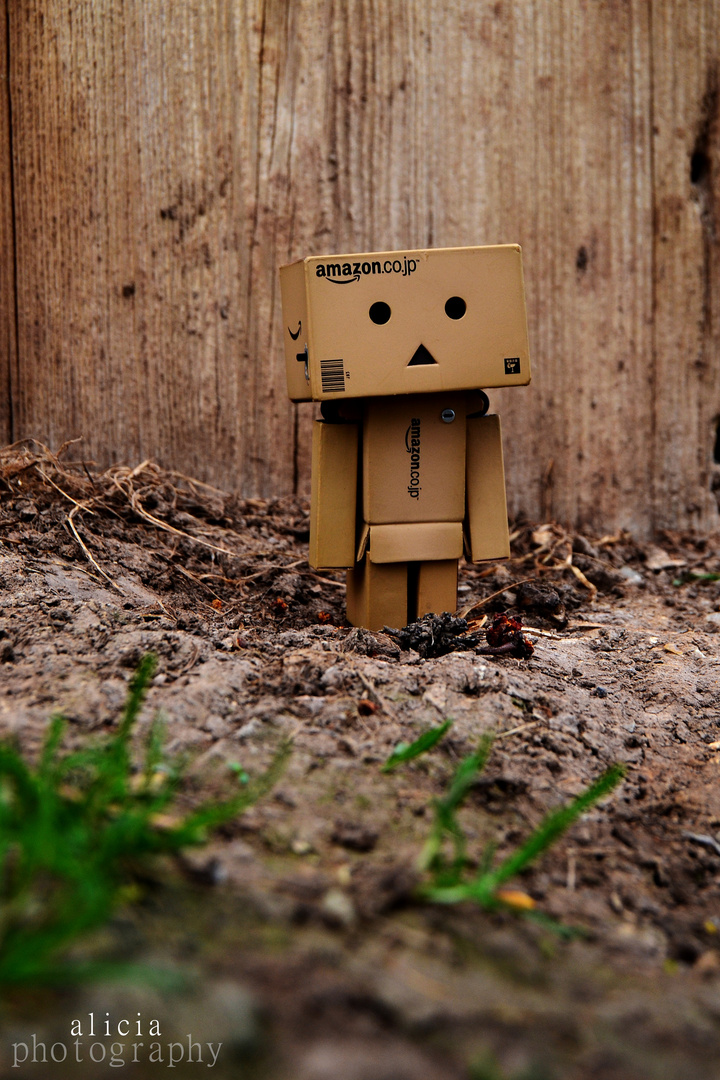 my danbo