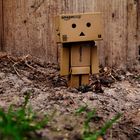 my danbo