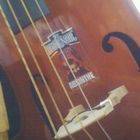 my Doghouse UprightBASS with 85° ABSINTH Logo