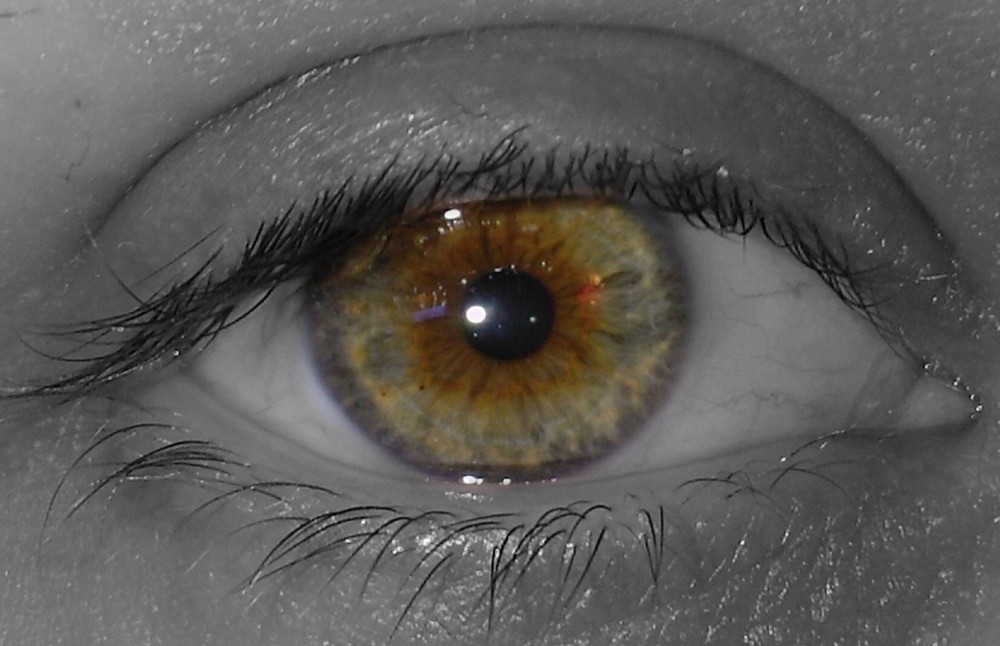 My Eye