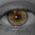 My Eye