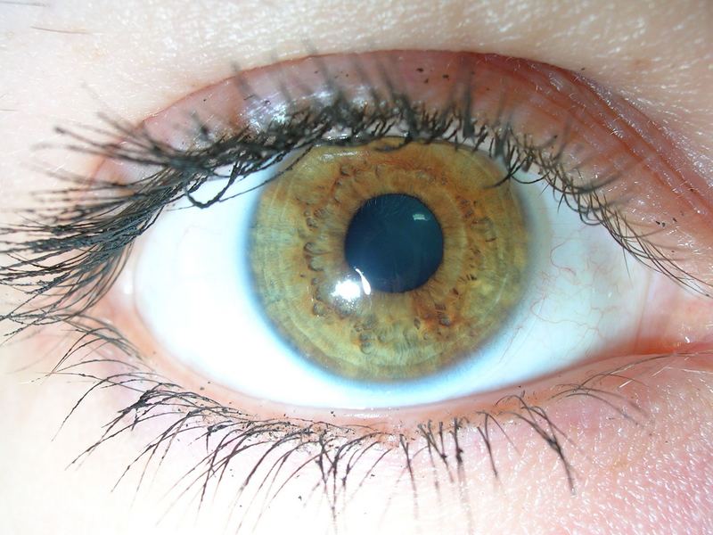 My eye