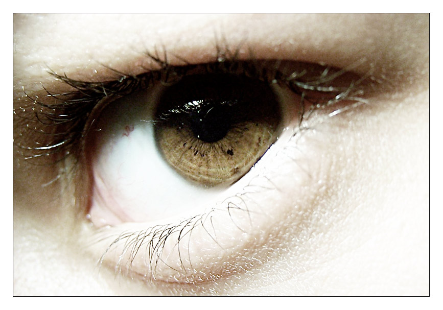 [my eye]