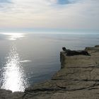 My father admiring the Moher Clifs