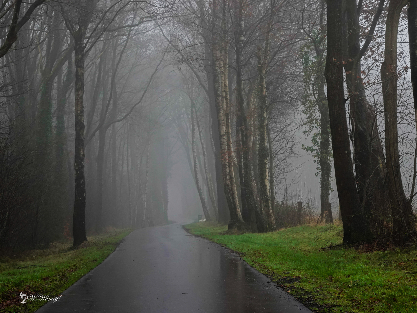 My favorite road in the fog!