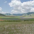 My favourite places - Castelluccio