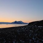 my friend, my ship and me - survival on spitsbergen