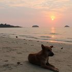 my friend on Koh Chang