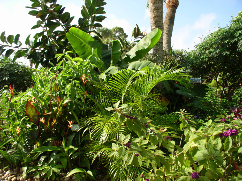 My Garden