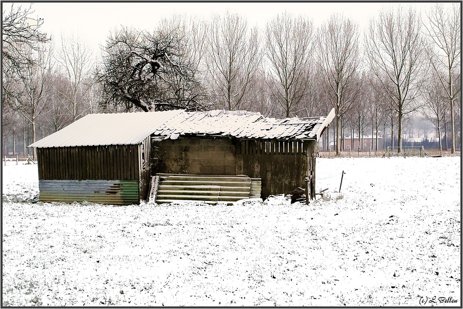 " my garden house in the winter "