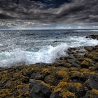 my giants causeway