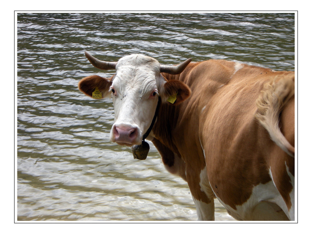 My Girl oder "Wissen Sie ob nackt baden hier erlaubt ist?"