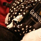 my goodness - my guinness