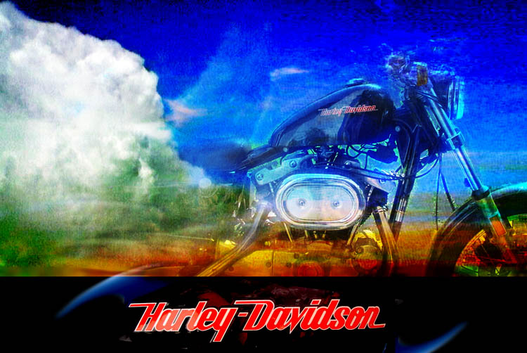 my harley