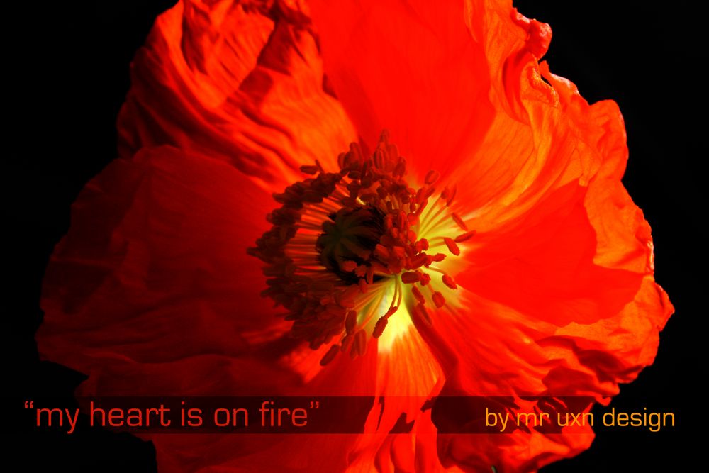 "my heart is on fire"