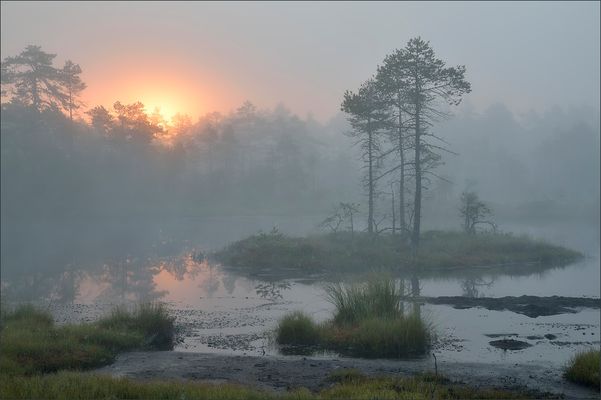 - My Highlight this year -