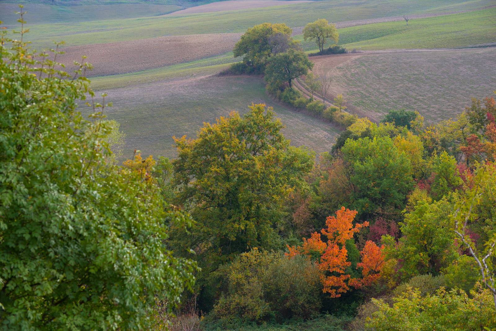 my home autumn