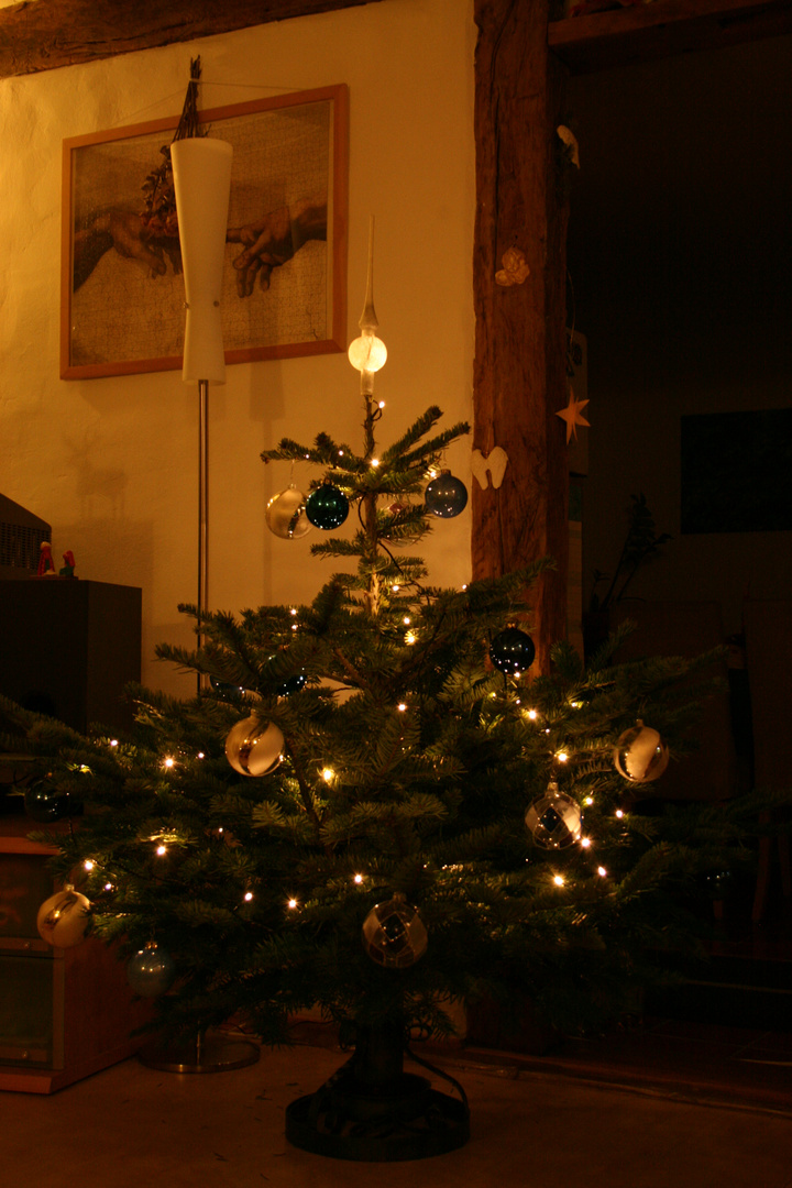 My Home my X-Mas Tree