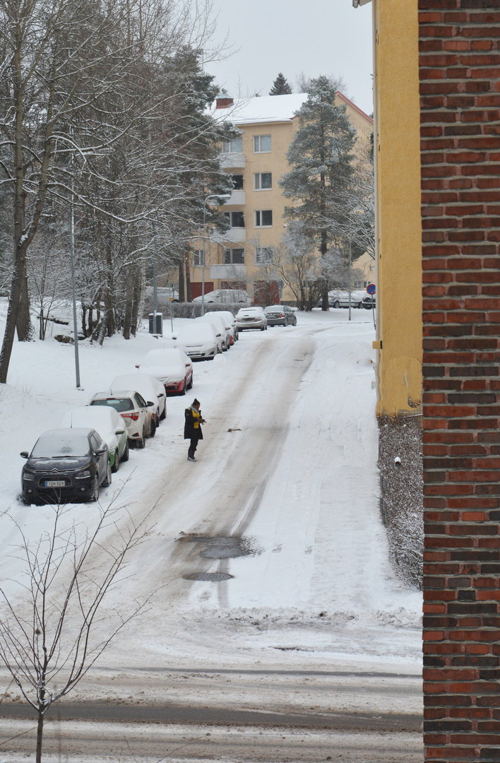 My home street on winter