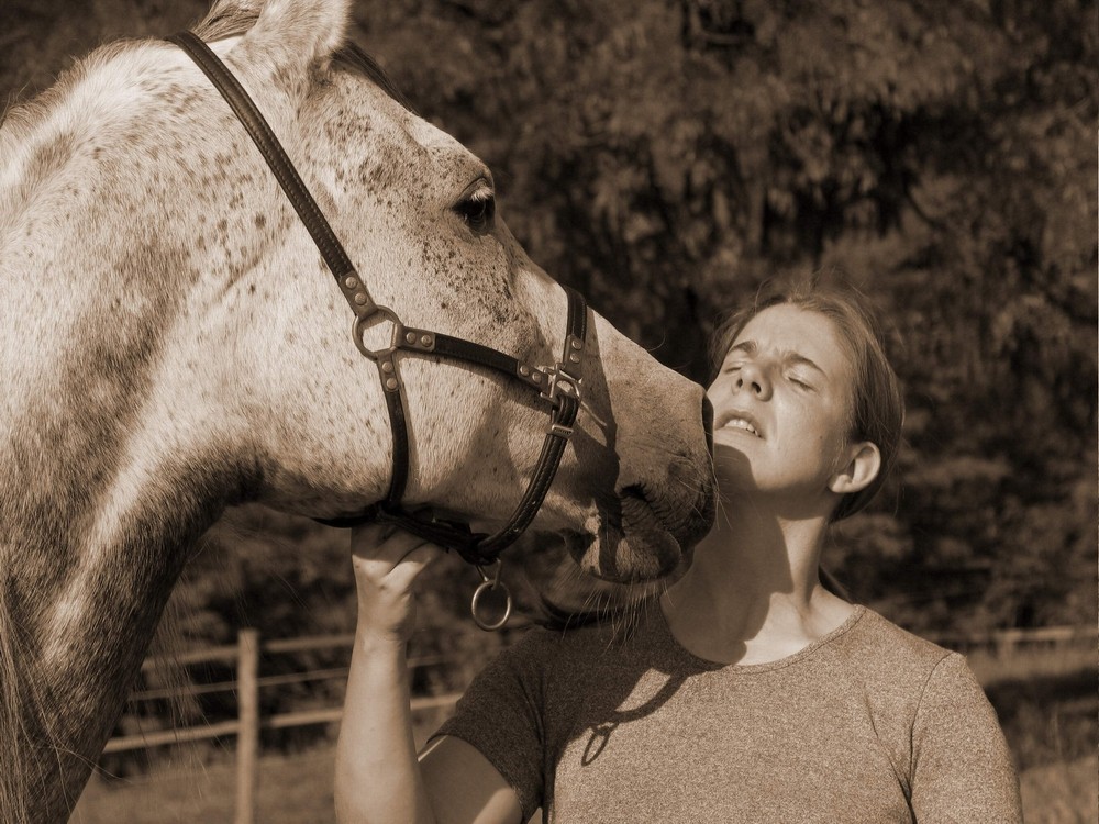 My horse and me