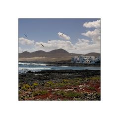 My Lanzarote views: Caleta de Caballo