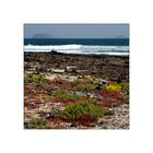 My Lanzarote views: Caleta de Caballo II