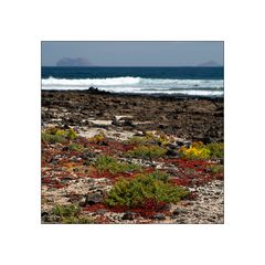 My Lanzarote views: Caleta de Caballo II