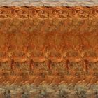 My Magic Eye Stereogram