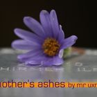 "MY MOTHER'S ASHES"