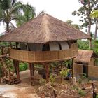 My Native Jungle Hut