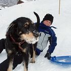 my nephew likes doing wintersport with my dog...