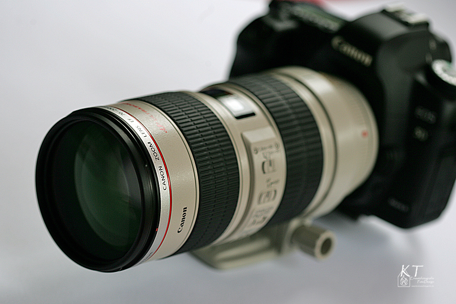 my new lens.....