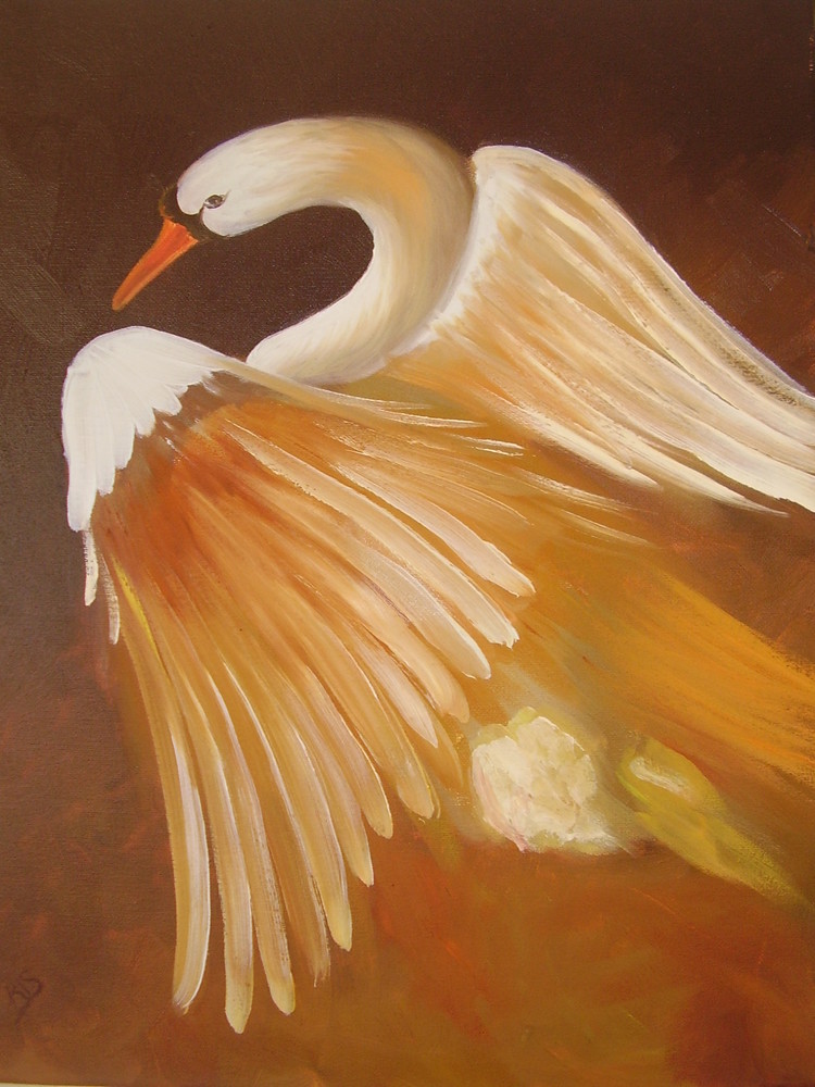 my paint is swan