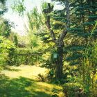 my secret garden - August