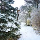 my secret garden - Durchblicke im Schnee
