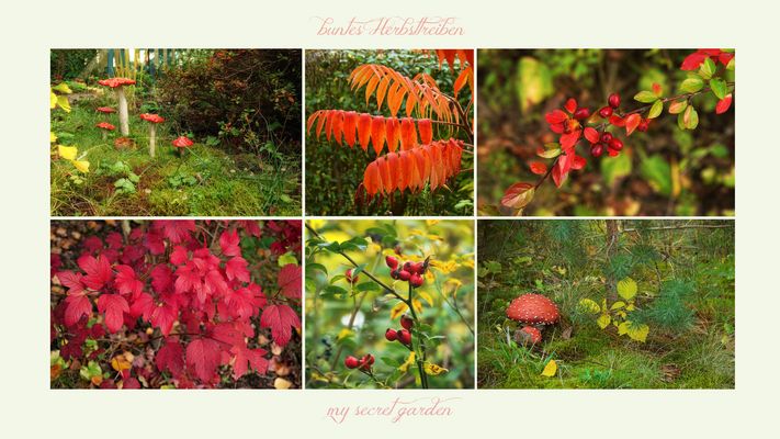 my secret garden .....