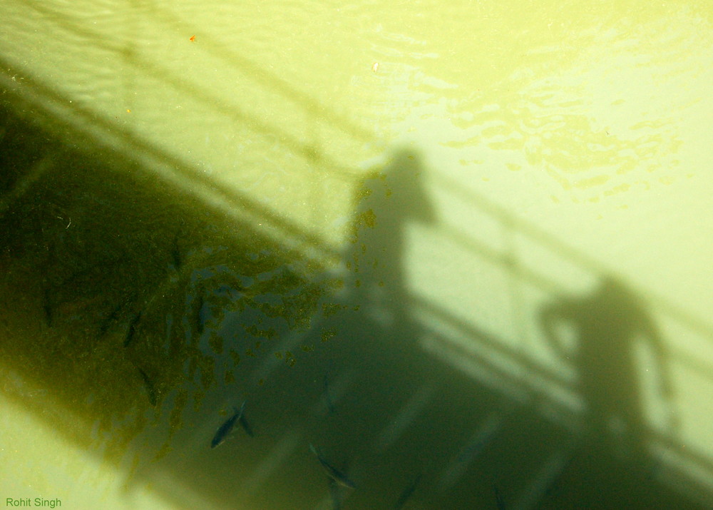 My Shadow over a river