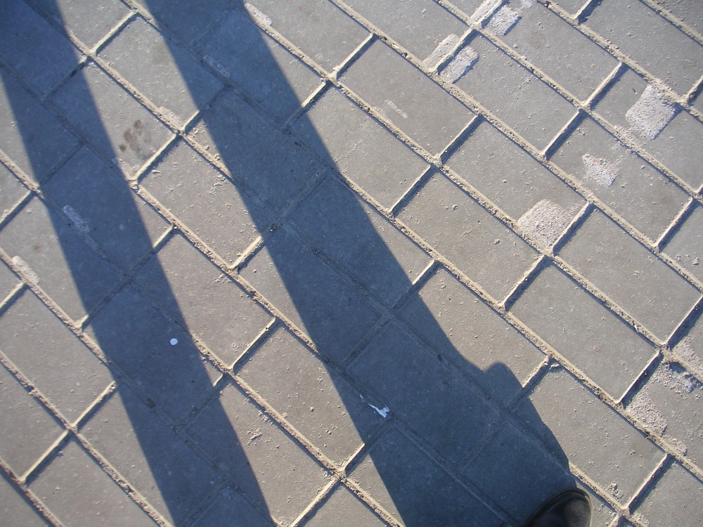 My shadow walks with me